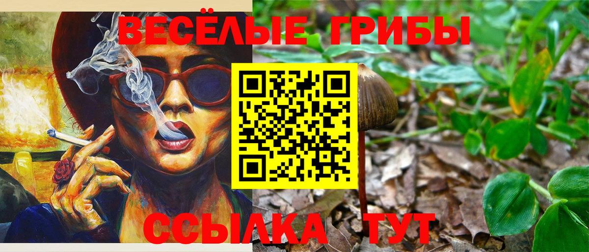 закладка  Псилоцибиновые грибы MAGIC MUSHROOMS  Кимовск  Вход с VPN  Галлюциногенные грибы прущие грибы 
