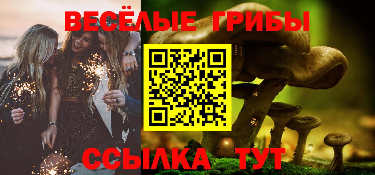 APVP СК   Канабис  КОКАИН  Вход с VPN  Кимовск  Гашиш  Меф МЯУ МЯУ кристаллы 